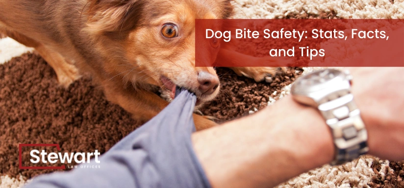 Dog Bite Safety: Stats, Facts, and Tips