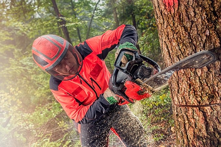 Man using chainsaw
