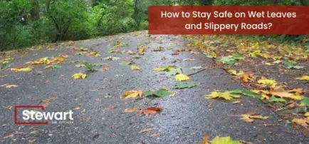 How to Stay Safe on Wet Leaves and Slippery Roads