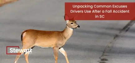 deer on shoulder of curvy road about to cross