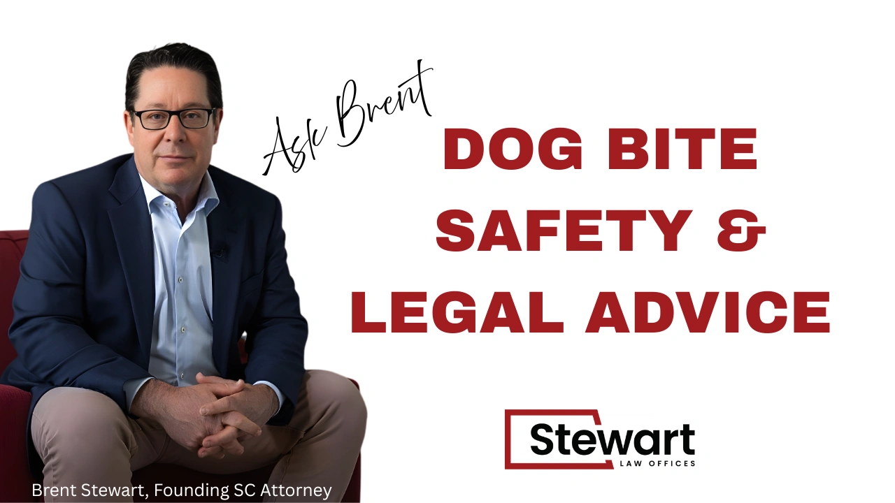 Dog Bite Safety & Legal Advice in NC & SC: What to Do If a Dog Bites You