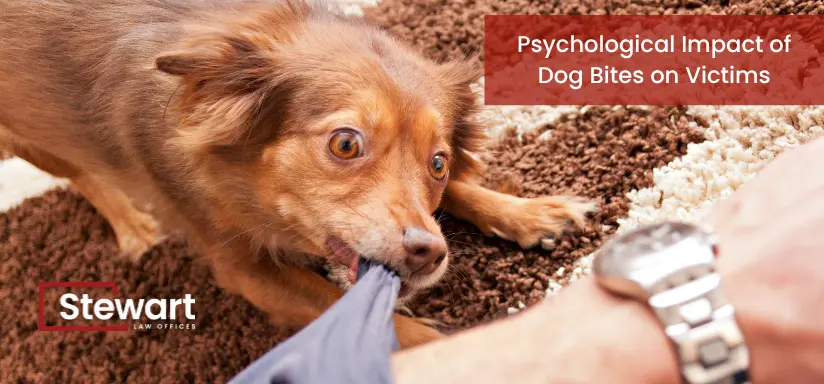 Psychological Impact of Dog Bites on Victims