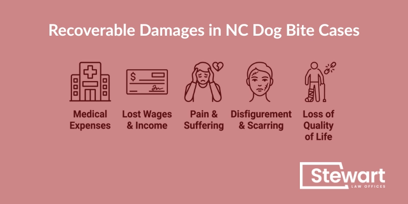 Recoverable Damages in NC Dog Bite Cases