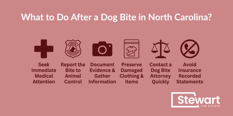 What to Do After a Dog Bite in North Carolina