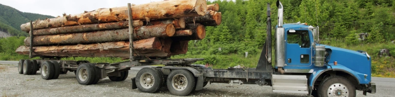 Charlotte Logging Truck Accident Lawyer